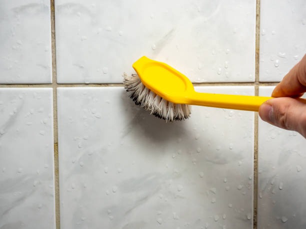 Best Post-Flood Mold Remediation in Banning, CA